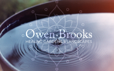 Healing Gardens, what we have to offer