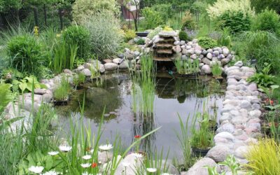 How to Design a Garden Pond